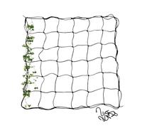 Filet De Soutien pour Plantes - Filet De Culture Élastique avec Crochets, Treillis Elastique, Filet De Treillis pour Jardinage Plantation Tente Plante Grimpante(150 * 150CM)
