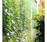 Filet de soutien pour plantes grimpantes pour jardin extérieur avec maille en polyéthylène et grille de 10 x 10 cm (3,6 x 1,8 m)