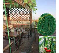 Filet de treillis 2 x 8 m pour plantes grimpantes, tomates, 27 brins en nylon, maille 10 x 10 cm, culture vignes, fruits, légumes, raisins, haricots, pois