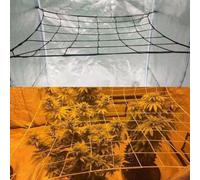 Filet de treillis élastique robuste avec crochets pour un soutien efficace des plantes en intérieur pour tentes de culture facile à utiliser (100 x 100 cm)