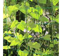 Filet de treillis pour plantes grimpantes avec filet de support en polyéthylène de 10 x 10 cm pour la croissance verticale du jardin et un rendement accru (3,6 x 5 m)
