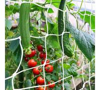 Filet de treillis résistant aux intempéries, 1,5 x 4,5 m, pour plantes grimpantes