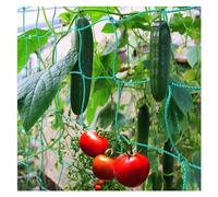 Filet d'escalade à 36 brins de 10 x 10 cm à trou carré - Support de jardin pour légumes et fleurs - Cadre de culture de tissage de 3 m x 20 m pour une croissance optimale des plantes