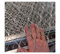 Filet d'escalade en acier inoxydable 304 pour jardin, clôture de sécurité pour plantes, balcon, zoo, terrain de football (0,8 x 10 m) - Barrière en maille extérieure durable