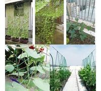 Filet d'escalade robuste pour une utilisation dans le jardin pour un développement sain des cultures