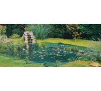 Filet d'étang 6x5m Filet anti oiseaux Filet anti feuillage Filet de jardin Filet anti feuillage Protection des plantes