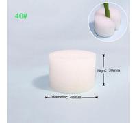 Filet En Maille Hydroponique Sans Sol, 50 Pièces, Panier Pour Plantes, Légumes, Tasse De Pépinière, Pot, Plateau Éponge, Jardinière Végétale Aéroponique, Colonisation Clone Q1.Sponge No.40