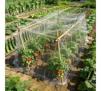 Filet Fine Maille de Anti Insecte Anti-grêle Potager, Filet Robuste Anti Oiseaux PE pour Fruits et Légumes, Jardins, Plantes, Blanc Translucide(4x10m)