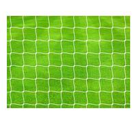 Filet football pour le but Precision Pro (x2) Blanc 640x214 cm Unisex