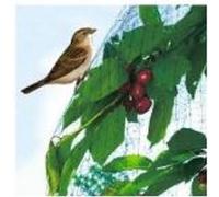 Filet Oiseaux 2X10m