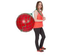 Filet pour ballon de gymnastique - Accessoire de rangement et sac de transport - Vert, 1 Ball