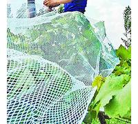 Filets de Protection des Plantes, White Multiple Sizes Plant Protection Mesh Netting for Garden Vegetables Fruits Flowers(7x7 m)