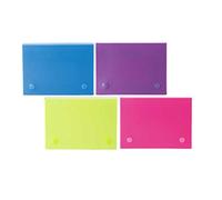 Filexec Products - Lot de 12 étuis universels pour cartes d'index, 6,3 x 15,9 x 3,8 cm, 5 onglets amovibles, 1 poche pour cartes, opaque, assortiment de 12 (50653-2026)