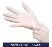 FILFA FRANCE - Gant vinyle non poudré - Transparent - Taille L - x100