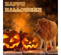 FILFEEL Costume de Crinière de Chien, Couvre-tête d'animal de Compagnie avec Oreilles et Queue pour Les événements d'halloween et de Noël