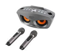 FILFEEL Karaoké Familial 4.2, Haut-Parleur d'extérieur, Double Microphone Stéréo avec Annulation Vocale (Argent Noir)