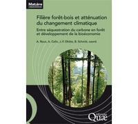 Filière forêt-bois française et atténuation du changement climatique Alice Roux (Auteur), Bertrand Schmitt (Auteur), Jean-François Dhôte (Auteur), Antoine Colin (Auteur)