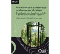 Filière forêt-bois française et atténuation du changement climatique Alice Roux (Auteur), Bertrand Schmitt (Auteur), Jean-François Dhôte (Auteur), Antoine Colin (Auteur)