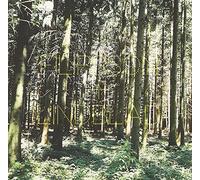 Filipsson & Lindblad - Filipsson & Lindblad-a Splendor in The G [Import]