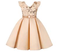 Filles Robes Tulle sans Manches Col V Robes Tutu Mariage Anniversaire Cake Smash Robe Soirée Princesse Fête Jupe d'anniversaire Ceremonie Mariage Fête Paillette Robe de Soirée Enfant