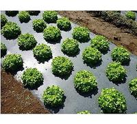 Film De Paillage en Plastique Noir Agricole, Film Biodégradable De Contrôle des Mauvaises Herbes du Jardin, Paillis De Couverture De Plante De Tomate Fraise De 14 Microns D’épaisseur, 1x50M