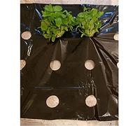 Film de paillage, Film PE perforé à 5 trous for serre, largeur 95 cm, épaisseur 0,02 mm, paillis noir for désherbage agricole, paillage for plantes et légumes de jardin, 1 pièce(20 Meters)