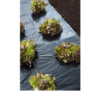 Film de paillage noir toutes cultures - 1,40x10m