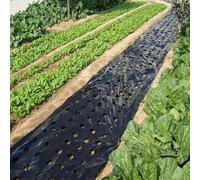 Film De Paillis De Légumes De Jardin, Toile de Paillage Anti Mauvaises Herbes, 10m Noir Film Imperméable Anti-Mauvaises Herbes pour Paillage, Idéal pour Potager, Légumes et Fraises, 95cm×10m