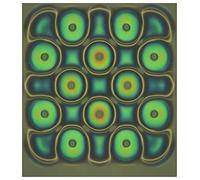 Film de visualisation de champ magnétique 10,2 x 10,2 cm, affichage de flux magnétique, détecteur de motifs magnétiques, enseignement de projet scientifique, réutilisable et récupération automatique -