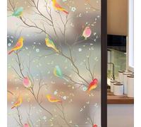 Film décoratif non givré pour fenêtre - Offre à la fois beauté et praticité (oiseau givré pur)