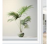 Film d'intimité moderne pour fenêtre - Feuille de palmier verte naturelle - Film décoratif pour fenêtre de maison et porte en verre, bloque le soleil - 80 x 120 cm