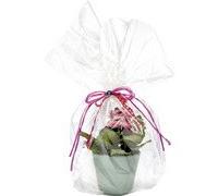 Film pour emballage cadeau - folia - Transparent - 20 mu - 70 cm x 100 m - Plastique