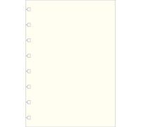 Filofax 152451 Recharge pour carnet de note A5 uni blanc