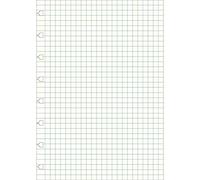 Filofax 152905 Recharge pour carnet de note A5 quadrillé