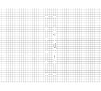 Filofax 212903 Recharge pour Organiseur feuille de note quadrillé Blanc