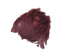 FILOUFACE Environ 25 Plumes Coloris Bordeaux Deco fête Mariage