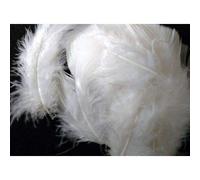 FILOUFACE Environ 50 Plumes décoratives 10 cm de Long Coloris au Choix Mariage Anniversaire - Blanc