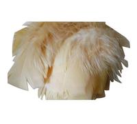 FILOUFACE Environ 50 Plumes décoratives 10 cm de Long Coloris au Choix Mariage Anniversaire - Ecru