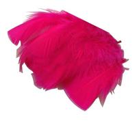 FILOUFACE Environ 50 Plumes décoratives 10 cm de Long Coloris au Choix Mariage Anniversaire - Fuchsia