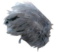 FILOUFACE Environ 50 Plumes décoratives 10 cm de Long Coloris au Choix Mariage Anniversaire - Gris