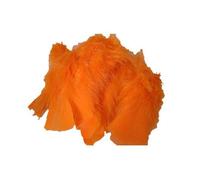 FILOUFACE Environ 50 Plumes décoratives 10 cm de Long Coloris au Choix Mariage Anniversaire - Orange