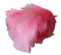 FILOUFACE Environ 50 Plumes décoratives 10 cm de Long Coloris au Choix Mariage Anniversaire - Rose Clair