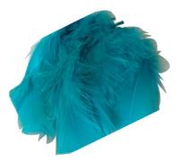 FILOUFACE Environ 50 Plumes décoratives 10 cm de Long Coloris au Choix Mariage Anniversaire - Turquoise