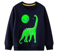 FILOWA Sweatshirt Enfant Garçons Phosphorescent Pullover Dinosaure à Long Cou Sweatshirts Col Rond Coton Bleu Marine Manches Longues Casual Tops Sport Pull Sweat-Shirt pour Garçon 5-6 Ans