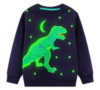 FILOWA Sweatshirt Garçon Enfant Pull Coton Col Rond Manches Longues Dinosaure Sweater, Casual Jumper sans Capuche Chaud Mode Tops Sweatshirt 3-4 Ans, Bleu Marine