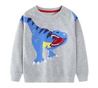 FILOWA Sweatshirt pour Garçons Enfant Coton Col Rond Sweater Dinosaure Imprimé Sweat-Shirt Animal Motif Pull-Over Chaud Manches Longues Pull Casual Jumper Printemps Automne Tops 3-4 Ans, Gris