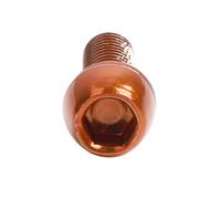 Filteilect Boulons de manivelle M6 x 18 mm - Vis de fixation pour bras de pédalier en acier avec joint d'étanchéité pour vélos de route en rouge, vert, bleu, orange, coloré (coloré)