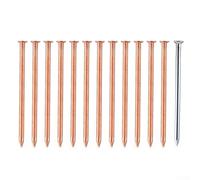 Filteilect Clous tueurs d'arbres de 10,2 cm pour enlever les souches en cuivre pour tuer les racines des arbres, comprend 12 clous en cuivre et 1 clou en acier pour une utilisation durable en