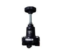 Filter Pressure Regulating Valve Vanne De Régulation Pression 11400-2G-PC100, 11400-2G-PE100, 11400-2G-PG100(11400-2G-PE100)