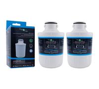 FilterLogic FFL-105CH | 2x Filtre à eau pour Triomph, Schneider, Thomson | Cartouche filtrante de réfrigérateur américain compatible avec Foshan-Micro-Midea 307203200002, MFCMG14211F-R, C00300448